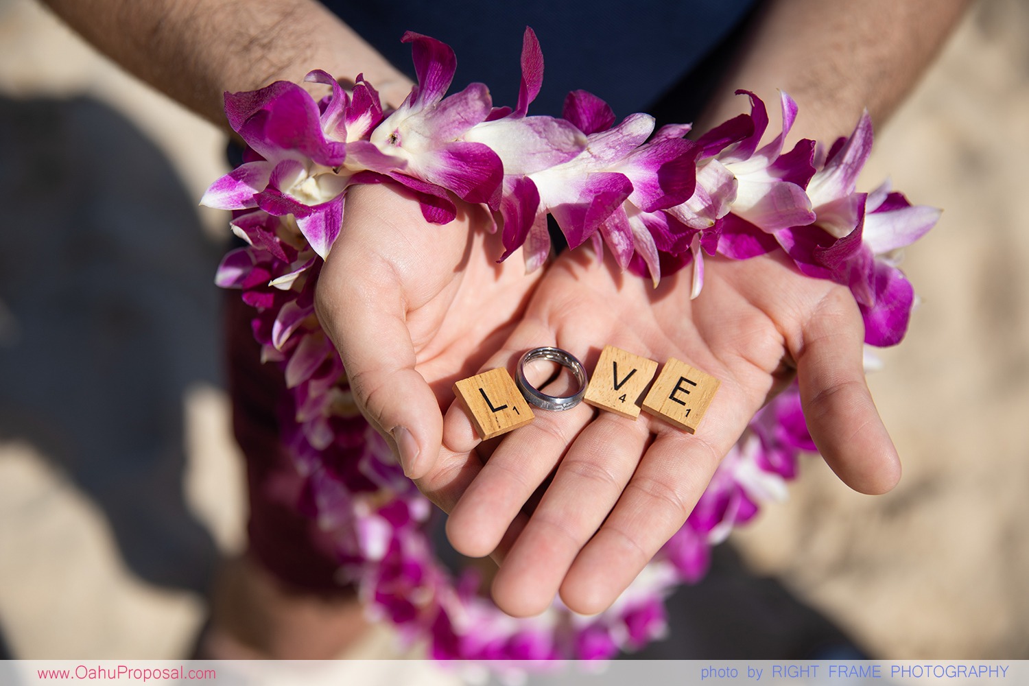 Proposal In Hawaii Same Sex Oahu Engagement Photographer