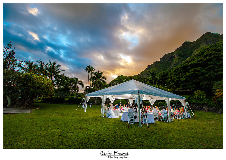 046_Oahu Wedding Photography paliku gardens
