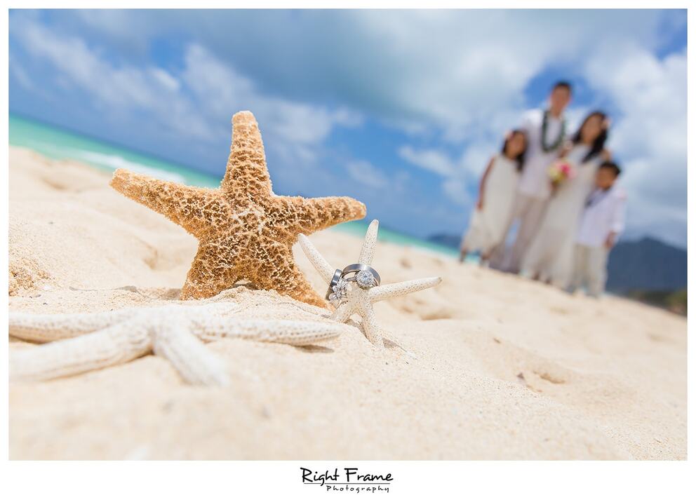Vow Renewal In Oahu Hawaii Simple And Intimate Sherwood Forest 3951