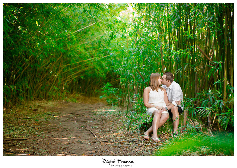 Engagement photographer in Hawaii Oahu