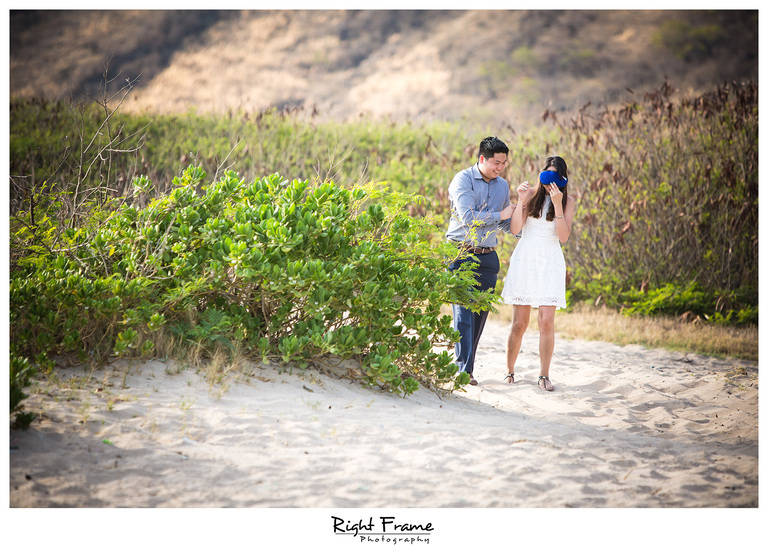 Romantic Surprise Hawaii Engagement Proposal