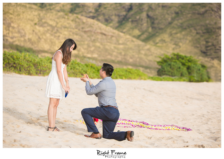 Romantic Surprise Hawaii Engagement Proposal