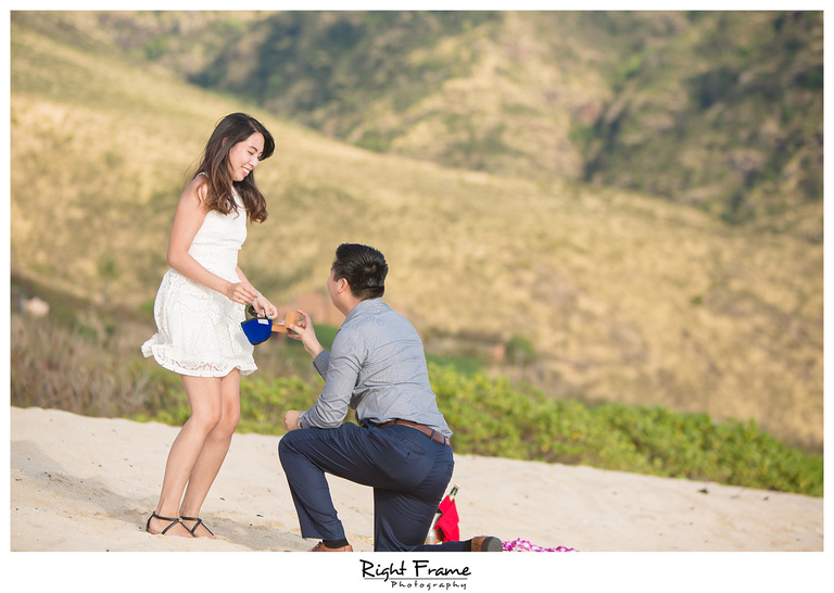 Romantic Surprise Hawaii Engagement Proposal