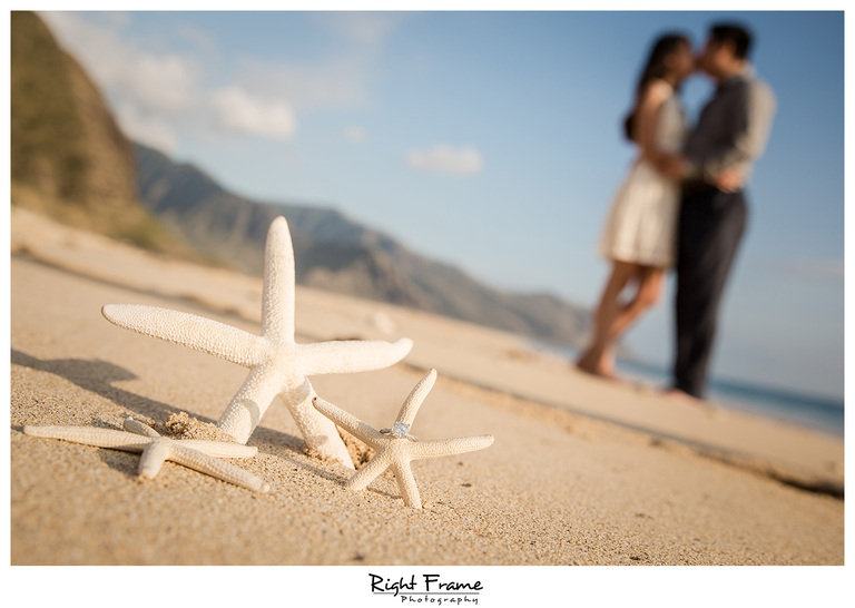 Romantic Surprise Hawaii Engagement Proposal