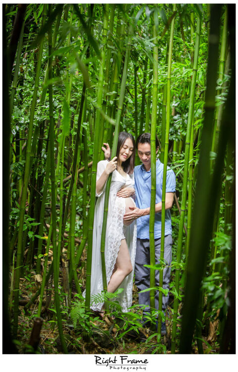Hawaii Maternity Photography in Bamboo Forest