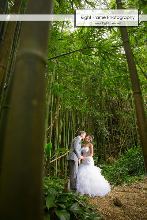 Hawaii Bamboo Forest Wedding Pictures