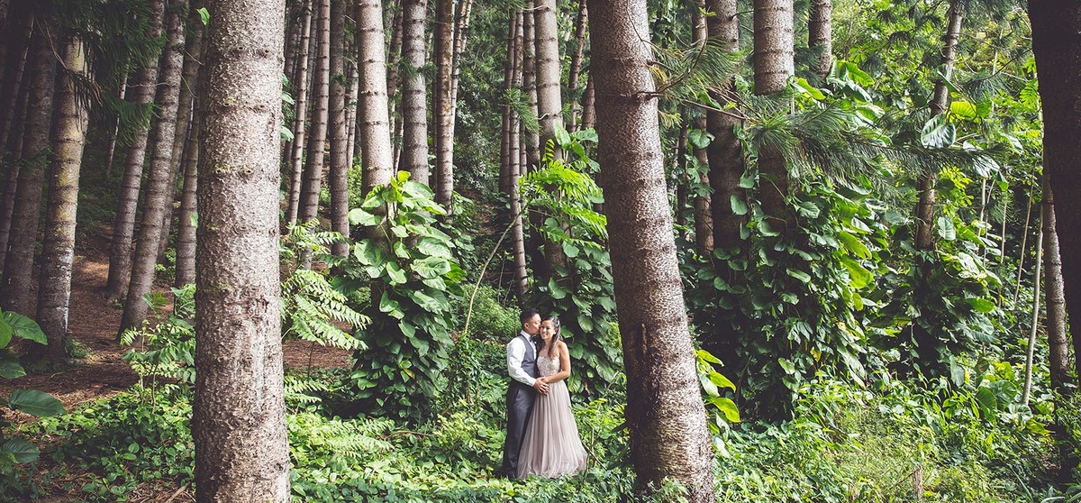 Couple Engagement Photographer Honolulu Tantalus Lookout Forest Jungle